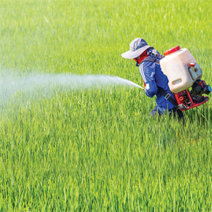 15 research chemical risk environment hooray good health com msds medicine physician work disease