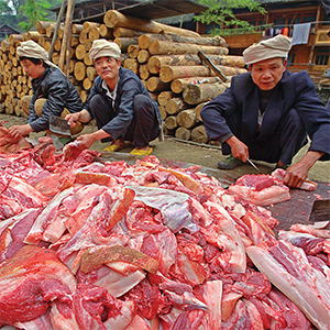 18 research biological environment infect physician work disease hooray good health com occupation