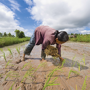 23 research ergonomic lpb back pain strain hooray good health com work disease occupation environment