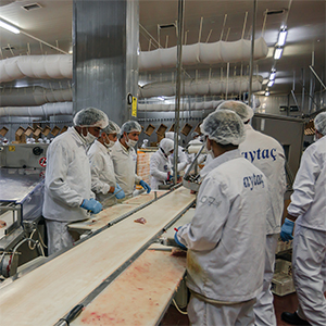 25 research ergonomic hazard risk hooray good health com occupation medicine physician work disease